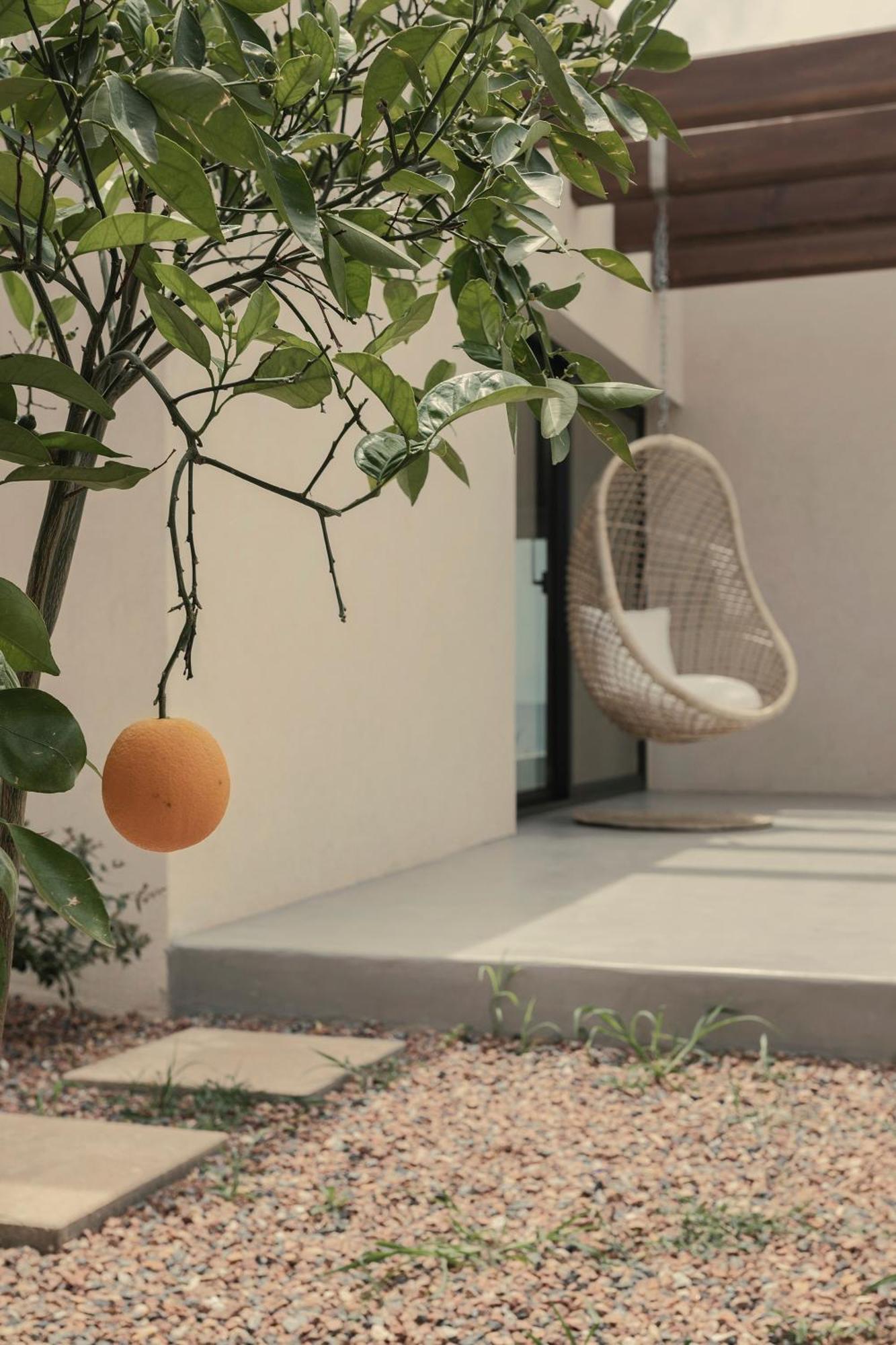 Meraviglia Slow Living Превеза Стая снимка